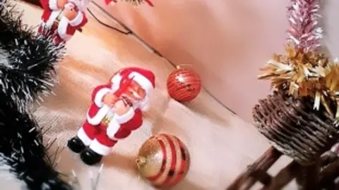 À Câmara Municipal de Nova Floresta, deseja a Todos um Feliz Natal