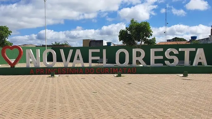 Nova Floresta - Imagem 1