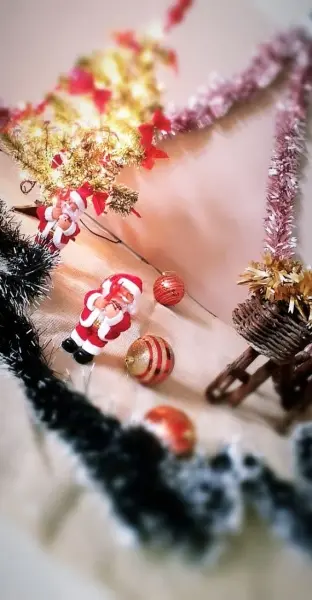À Câmara Municipal de Nova Floresta, deseja a Todos um Feliz Natal